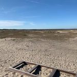 Pustynia Błędowska - drabina