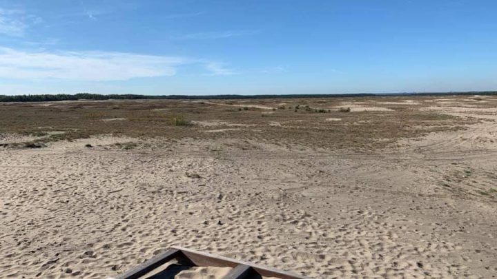 Pustynia Błędowska - drabina