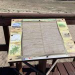 Pustynia Błędowska mapa