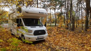 Ciućkowo grzybobranie