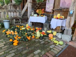 Kamperem na zakupach