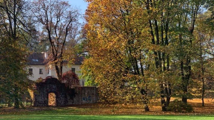 Park Decjusza - wypożyczalnia kamperów