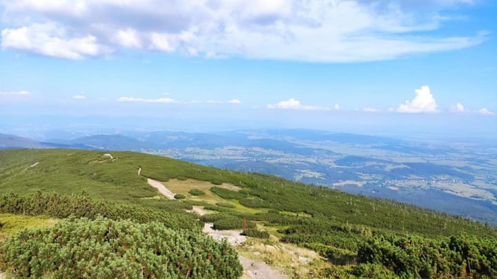 Babiogórki Park Narodowy